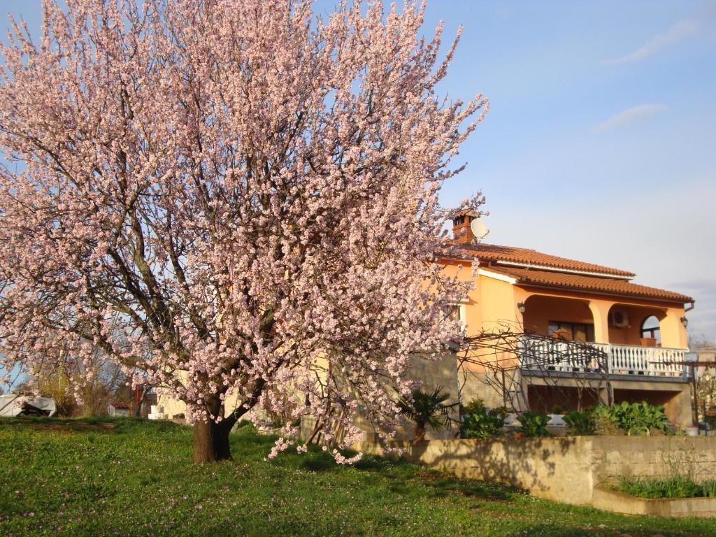 Apartments Alice Green Oasis - Porec Ngoại thất bức ảnh